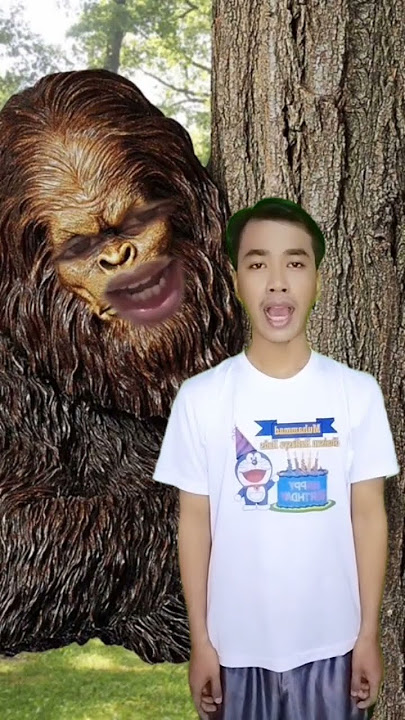 Bonggola Bonggo Cha Cha Cha #shorts