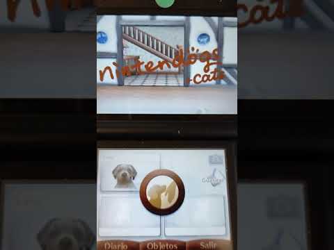 Video: Slēdzis Kļūst Par Nintendogs + Kaķu Garīgo Pēcteci