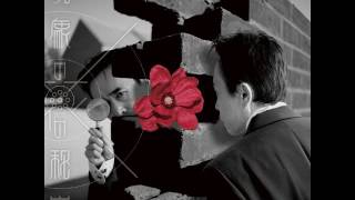 Susumu Hirasawa - The Secret of The Flowers of Phenomenon E