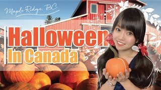 日本と全然違う！？海外のハロウィン【カナダで人気のパンプキンパッチ？】