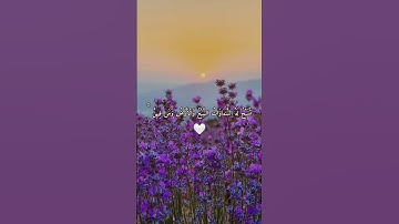 كن من الذاكرين المسبّحين حتى تنال بركة الذكر🌿#قرآن_كريم #تلاوة #ذكر_الله #تدبر #قرآن #تسبيح #خشوع