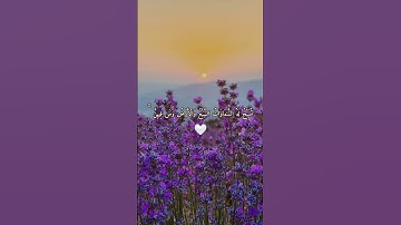 كن من الذاكرين المسبّحين حتى تنال بركة الذكر🌿#قرآن_كريم #تلاوة #ذكر_الله #تدبر #قرآن #تسبيح #خشوع