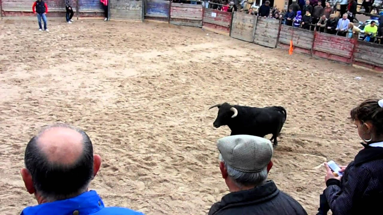 Encierro a caballo Gallegos de Argañan 2012