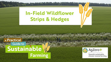 In-field wildflower strips and hedges - a practical guide to sustainable farming