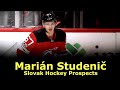 Marián Studenič - Slovak Hockey Prospects