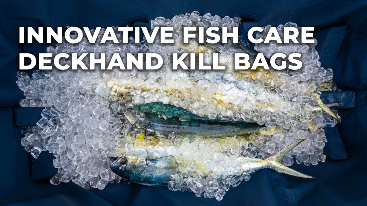 Innovative Fish Care: A Look at Deckhand Sports Kill Bags 