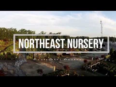 Northeast Nursery Contractor Center 8 Dearborn Rd You Northeast Nursery Contractor Center 8 Dearborn Rd