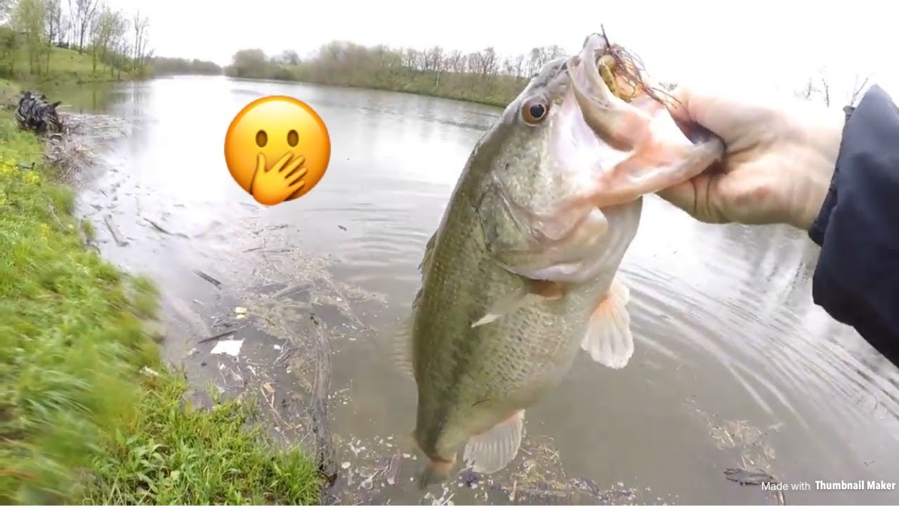 bass fishing at night My WORST fishing lure~ BIGGEST BASS OF 2018 SO FAR