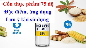 Cồn thực phẩm 75 độ: Đặc điểm, ứng dụng và Lưu ý khi sử dụng | | | Ethanol thực phẩm | Alcohol