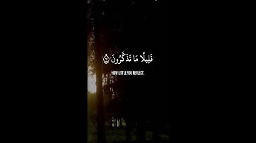 أمن يجيب المضطر إذا دعاه | تلاوة إيمانية بديعة