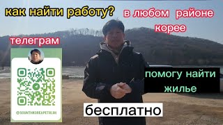 Как быстро самому найти работу, кто в первые приехал в Южную Корею на заработки