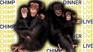 The NEW Chimp Dinner LIVE! 04.10.22 by Myrtle Beach Safari 9,987 views 2 years ago 26 minutes