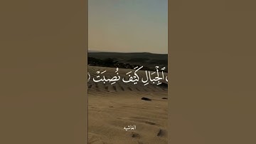 من روائع تلاوات القارئ احمد سعد المعازي من مسجد التوفيق ب صنعاء