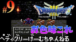 9【ドラクエ3】ちょっと見ないうちに随分変わってしまわれました ドラゴンクエスト3 そして伝説へ【レトロ/SFC】