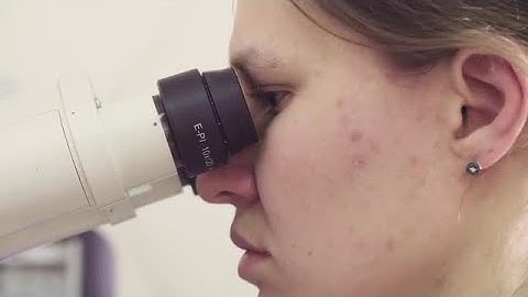 Using A Microscope Stock Video