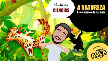 O que os 4 elementos da natureza representam?