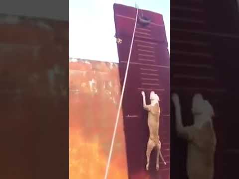 გინდ დაიჯერე გინდ არა.მაგრამ ფაქტია