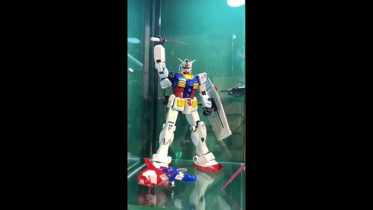 Mô Hình Lắp Ráp HGBD Gundam Build Divers Re Rise Bandai  TAB Store