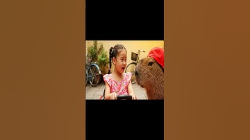 Capy không chê em nghèo thì lên xe em đèo 🤭 #capybara #vuive #ongbavaboss #giaitri