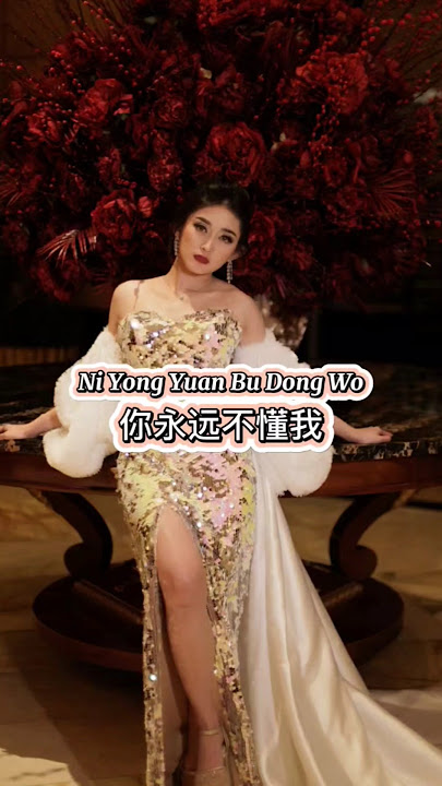 Ni Yong Yuan Bu Dong Wo 你永远不懂我