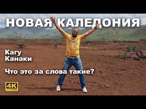 Видео: Капитан Герман I Путешествие по Новой Каледонии: Водопад Мадлен, Зоопарк и Птица Кагу