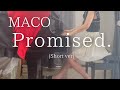 【MACO】「Promised.」(Short ver) を弾いてみました。
