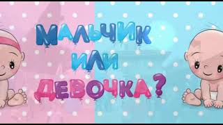 Гендер пати. Мальчик или девочка.