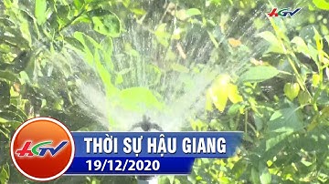 Ấp điểm thực hiện ấp nông thôn mới kiểu mẫu, vườn mẫu ở Hậu Giang