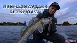 картинка: ПОЙМАЛИ СУДАКА БЕЗ КРЮЧКА! 