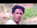 Zara tv  hailab gbretnsaie   daru    weynawitey  new eritrean music