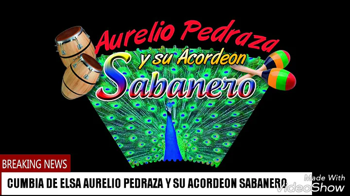(Oficial)Cumbia de Elsa Aurelio pedraza y su acord...