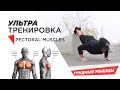 Ультра тренировка на грудные мышцы в любых условиях  | Pectoral Muscles