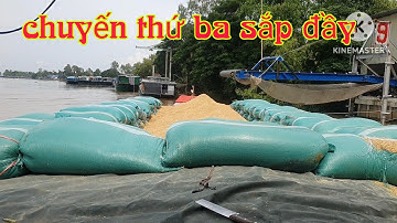 Chuyến thứ ba sắp đầy