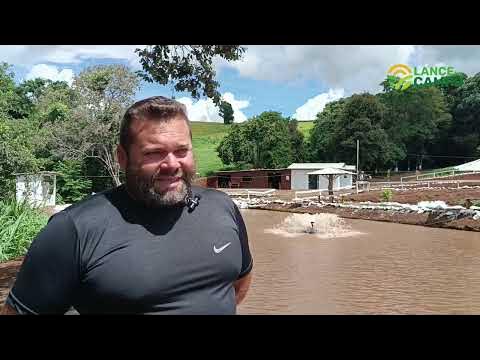 Lance no Campo: família de Seara faz sucesso com produção de