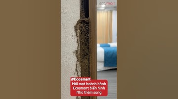 Mối mọt hoành hành – Ecosmart biến hình, nhà thêm sang #ecosmart #cuagonhuacomposite