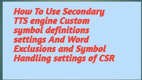 Custom symbol definitions settings And Word Exclusions and Symbol Handling settings of CSR