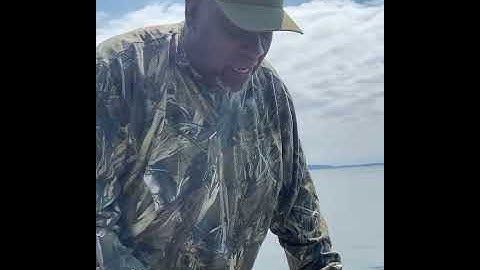 Prep Work For Puget Sound Shrimp