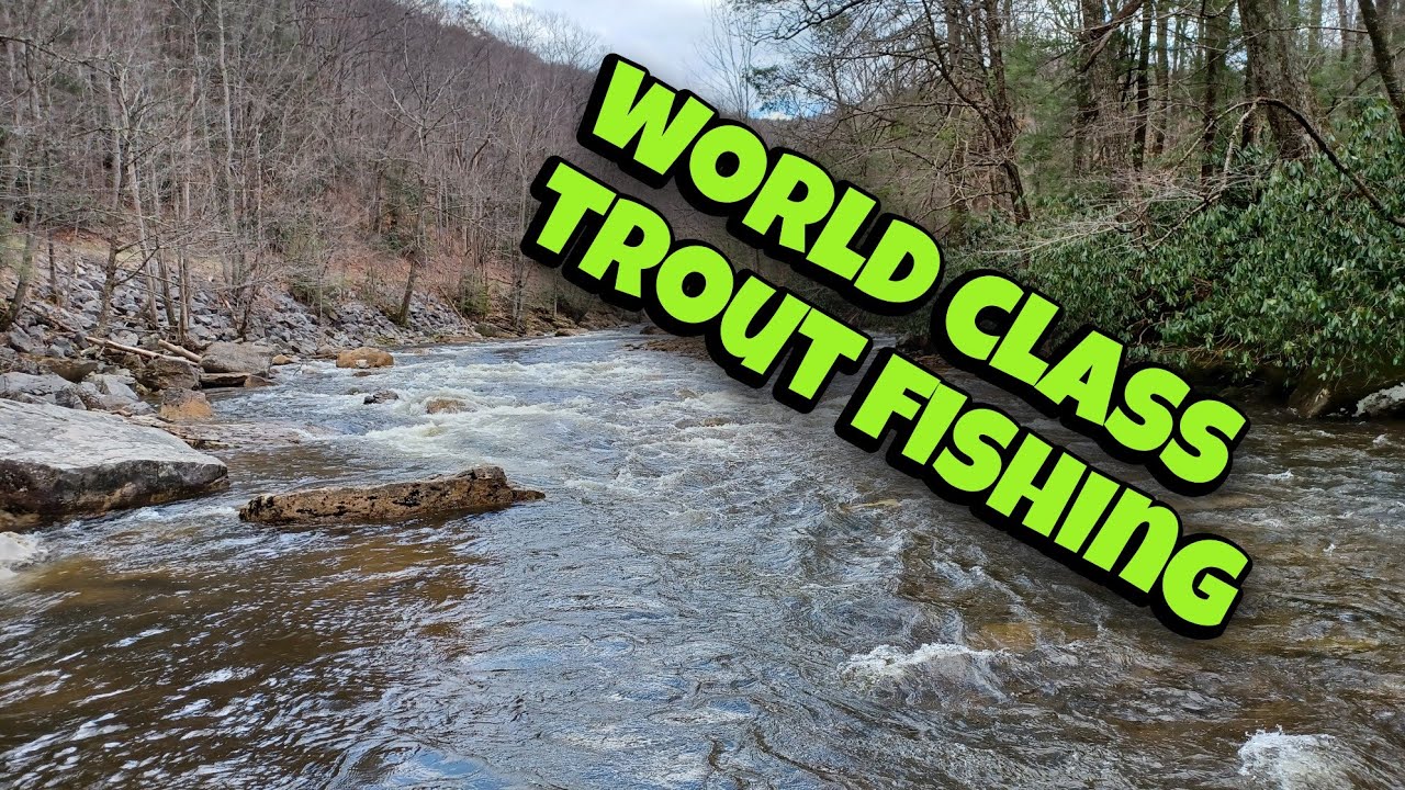 Fishing a World Class River River (LOADED) With Rainbow and Golden Trout..
