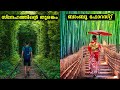 അവിശ്വസനീയമായ, എന്നാൽ യഥാർത്ഥത്തിൽ ഉള്ളതായ 10 സ്ഥലങ്ങൾ