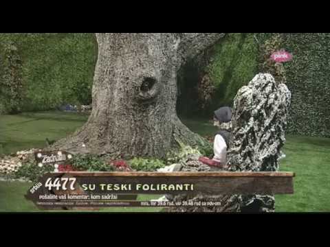 Zadruga - Đekson otkrio da mu se sviđa još jedna devojka - 11.10.2017.