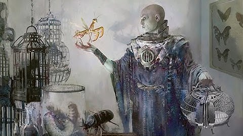 BUG Delver VS 5c Soulflayer - 111115