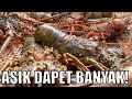 Unik Banget! Bolang Cari Lobstre Dengan Dyung Piring | BOCAH PETUALANG (27/10/20)