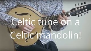 Celtic tunes on a Celtic mandolin chords