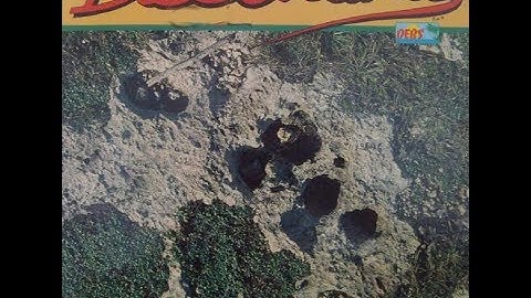 Dissonance - Hey D.J ( ZOUK RETRO ) 1987