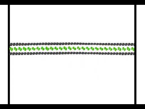 Fracture mechanism of Graphene-Silicene heterostructure using MD Simulation.  Part- 1 #lammps #ovito