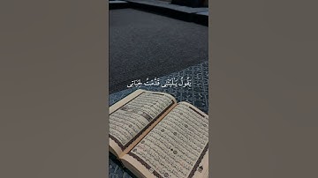 قران كريم الا بذكر الله تطمئن القلوب #قران_كريم #المصحف #راحة_نفسية #الصلاة_على_النبي #اكسبلور