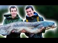Fishing for GIANT Catfish (River Monsters!)