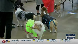 Longview Exhibit Center hosts UKC AllBreed Dog Show