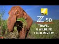 Nikon Z50 Honest Field Review // Travel & Wildlife Photography