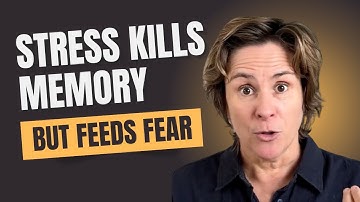 Why Does Stress Rewire Your Brain for Negativity?